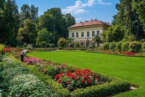 Comment optimiser l’entretien de votre jardin à Vienne avec des services professionnels