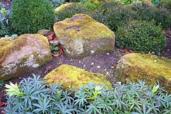 Conseils pratiques pour réussir l’aménagement d’un jardin de rocaille