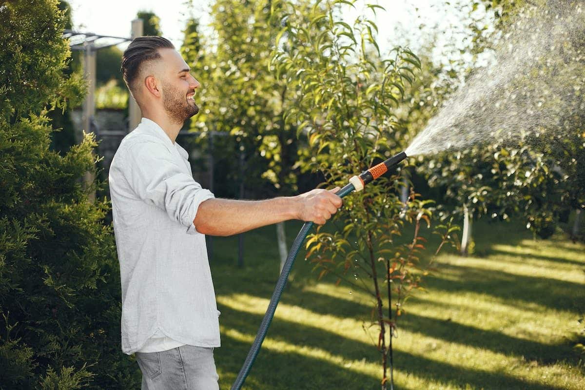 Astuces efficaces pour économiser de l’eau lors de l’arrosage de votre gazon : guide pratique