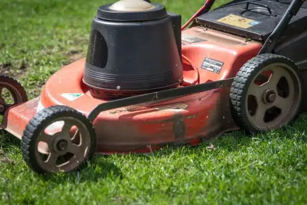 Guide ultime pour sélectionner la meilleure tondeuse adaptée à votre jardin