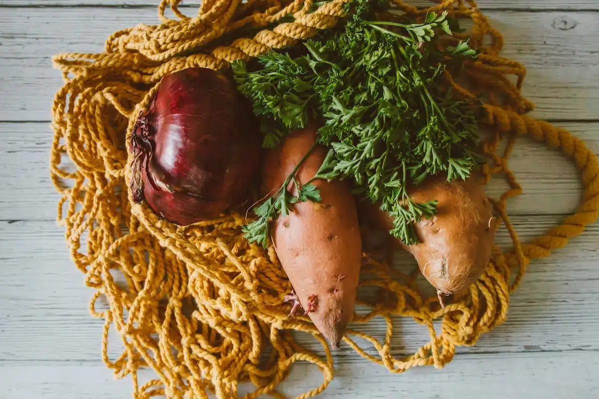 Cultiver et conserver efficacement les légumes racines : tous les secrets à connaître