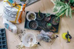 Préservez votre potager de manière écologique en repoussant les ravageurs naturellement