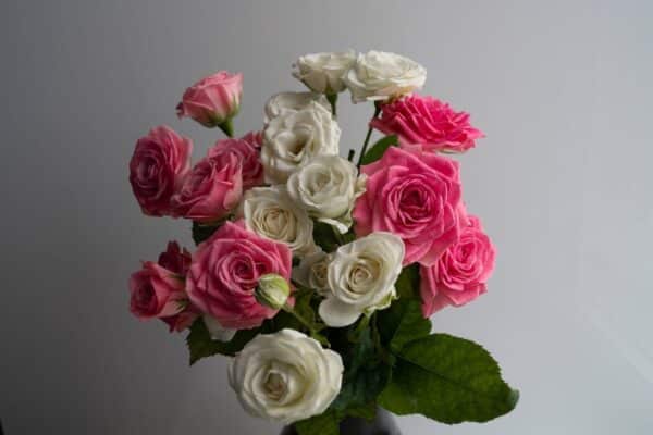 Guide ultime pour sélectionner les meilleures fleurs pour vos bouquets et compositions florales