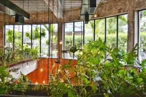 Aménager un petit jardin en ville : Les secrets des experts