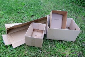 Comment utiliser les cartons dans le potager ?