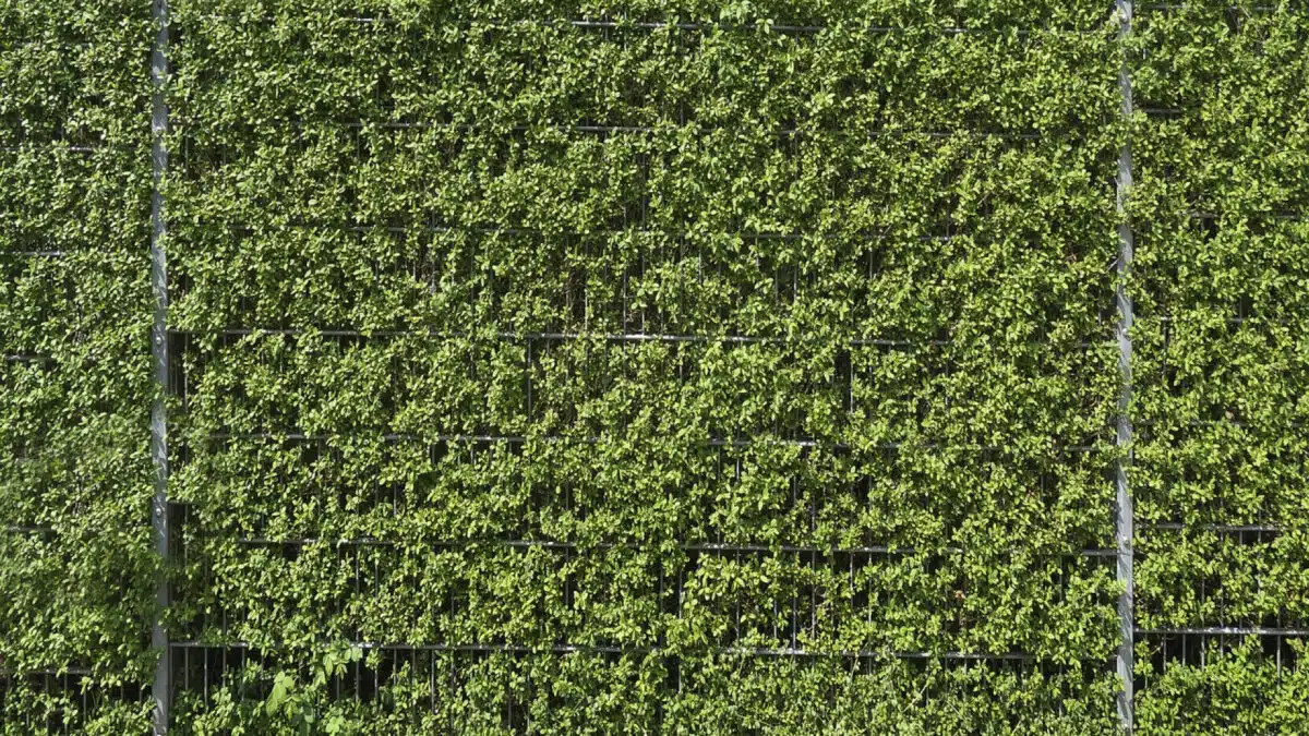 La haie artificielle : idéale pour votre extérieur