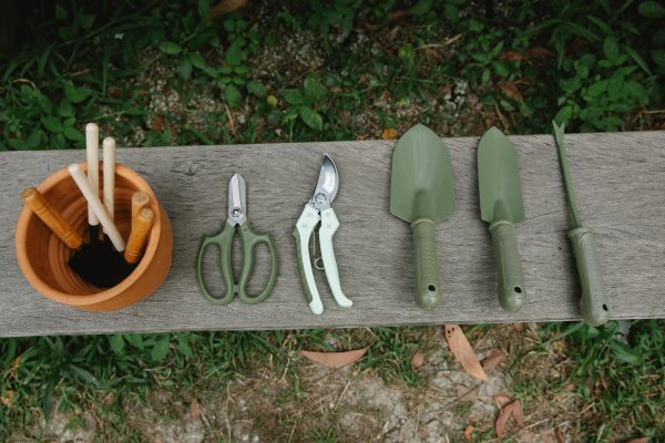 Optimisez votre jardin : outils, astuces et déco incontournables